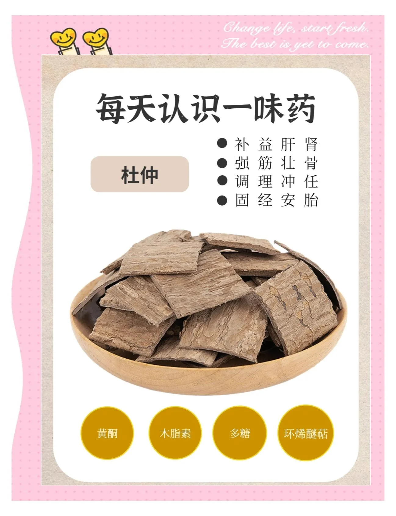 资深酿酒师正在将处理好的杜仲片放入玻璃酒瓶中进行浸泡_1