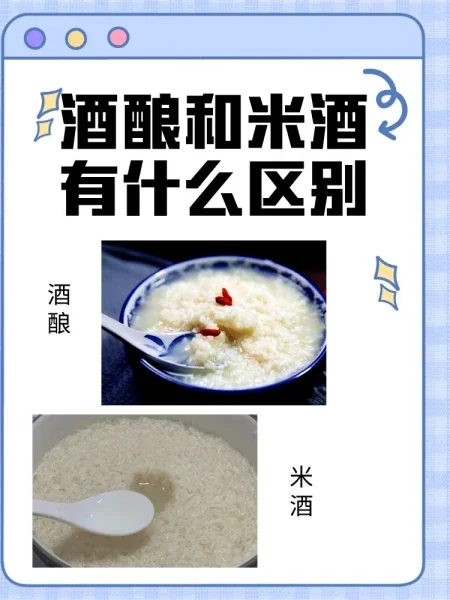 一碗清澈的米酒与一碗湿润的酒糟对比图，清晰地展示了米酒和酒糟的形态区别。_1