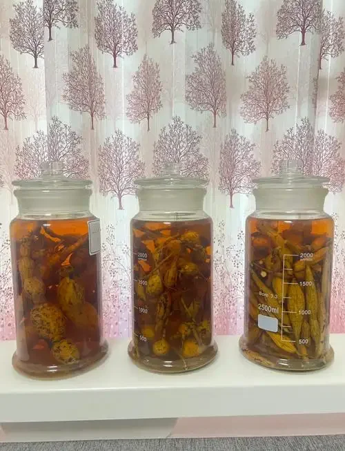 一瓶泡好的牛大力人参酒，瓶内可见药材，旁边散落着干燥的牛大力和人参原料_1