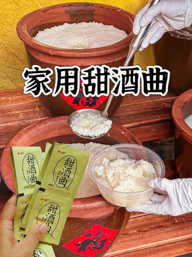 浸泡好的糯米特写，颗粒饱满，水分充足，用于制作米酒。_1