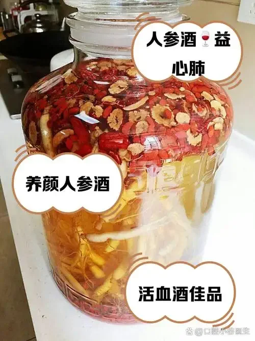家庭自酿八股牛泡酒过程展示：玻璃罐中金黄色酒液浸泡着八股牛根切片_1