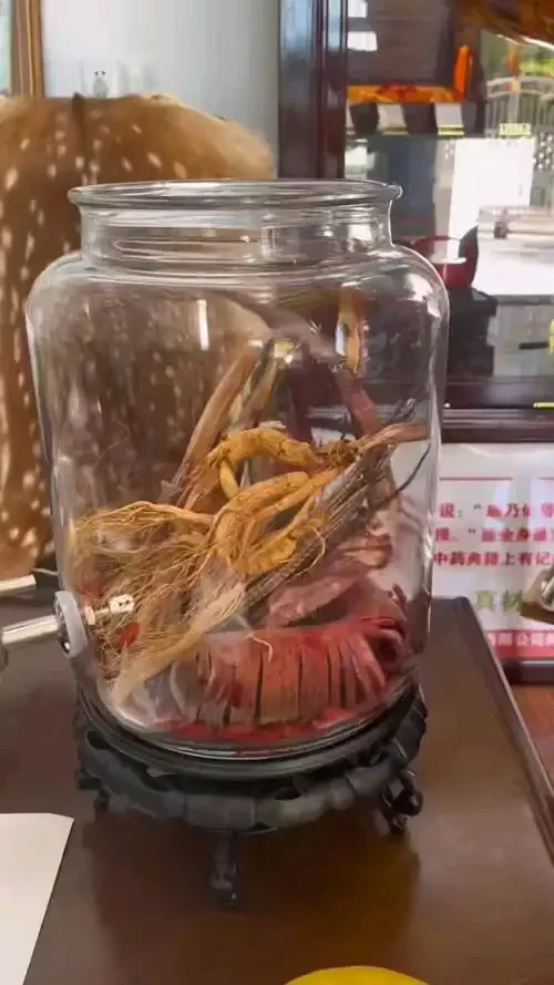 石斛与鹿茸在透明玻璃酒坛中浸泡的特写照片，展示了传统养生泡酒的直观过程。_1
