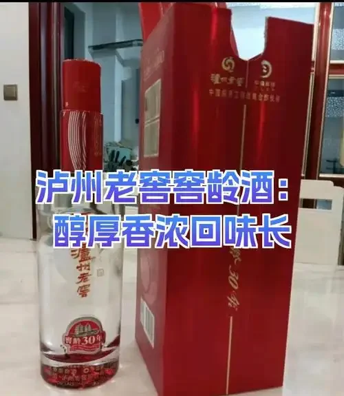 传统陶坛储存浓香型白酒的专业酒窖环境特写_1