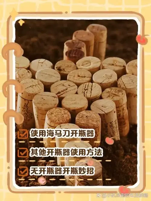 开瓶红酒用保鲜膜和真空塞保存的实用方法示意图_1