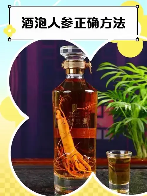 人参泡酒选材对比：鲜人参、干人参、人参片与泡酒瓶、配料在工作台上的专业布置。_1