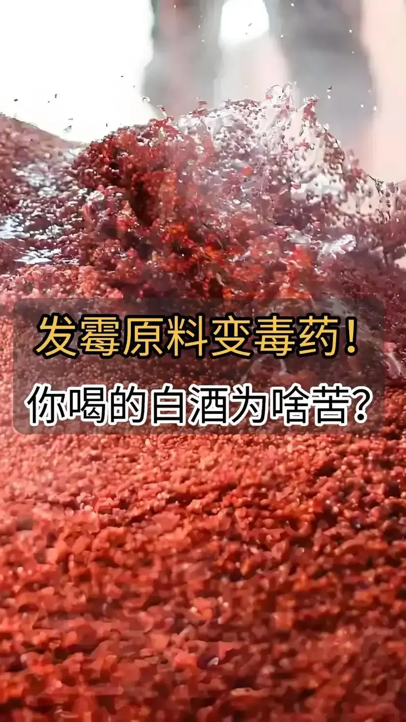 酿酒师正在观察和分析酱香型白酒的酒体与风味_1