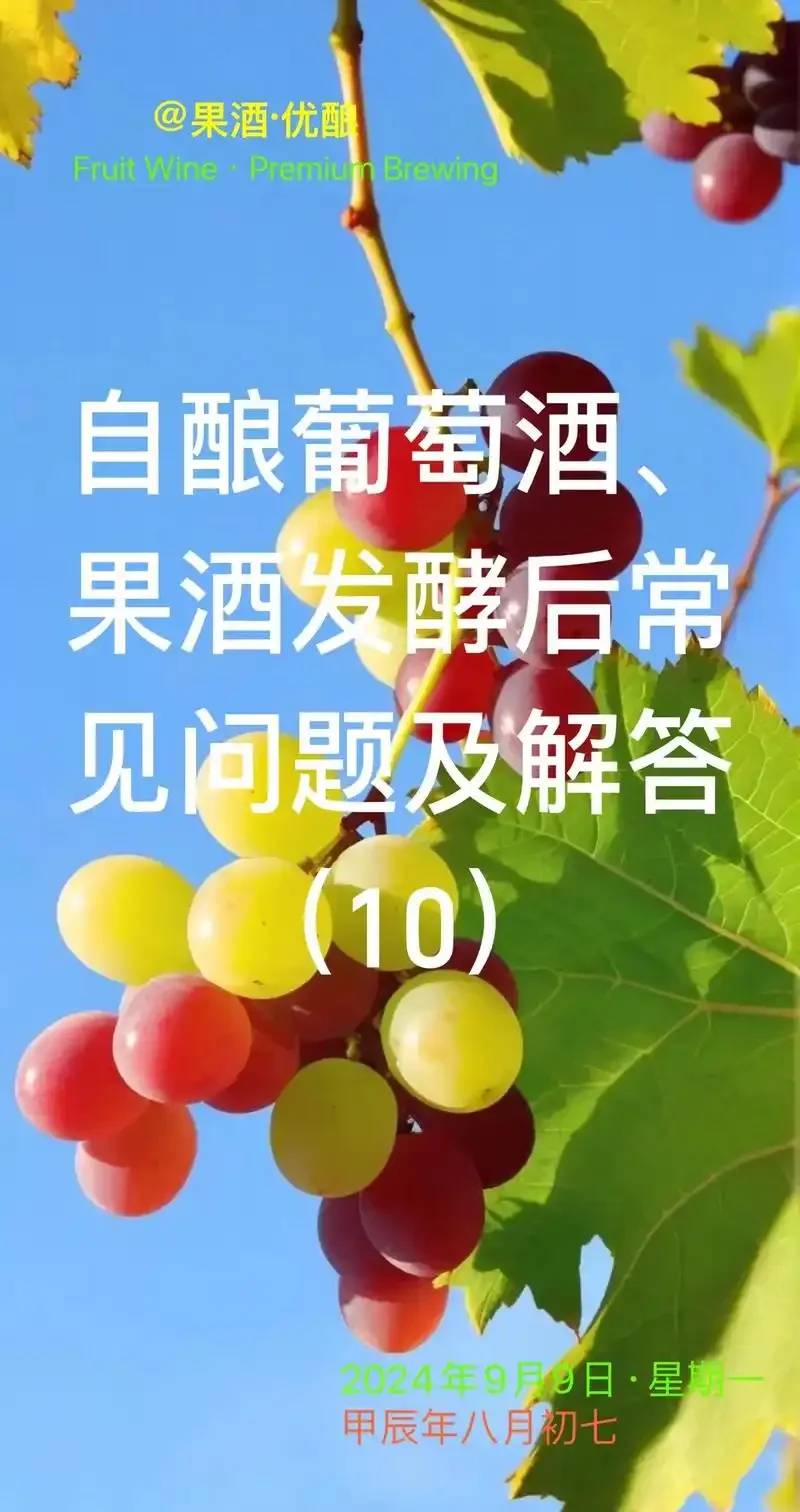 酿酒葡萄与鲜食葡萄的对比：深色紧实的赤霞珠葡萄与浅色饱满的巨峰葡萄并列_1