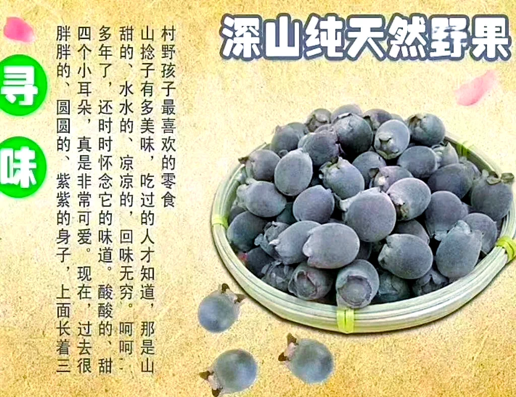 正在用白酒浸泡新鲜捻子果的玻璃罐特写，阳光洒在桌面上，氛围温馨自然_1