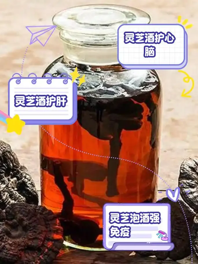 家庭自泡灵芝养生酒展示：透明酒坛中灵芝与金黄酒液相映成趣_1