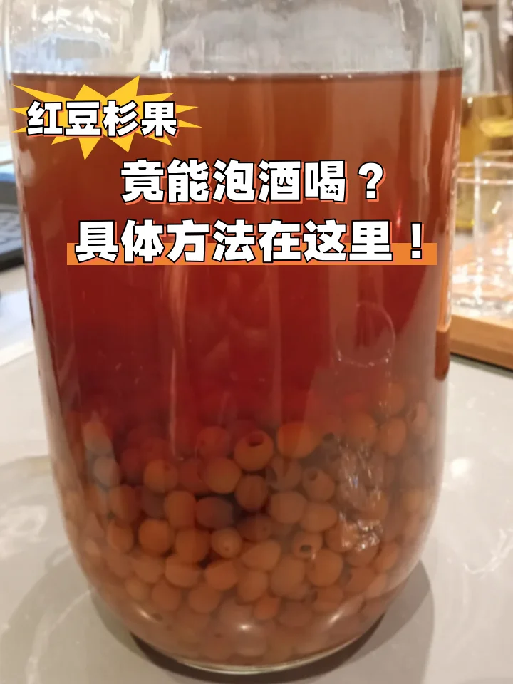 红豆杉果子与玻璃泡酒罐静物特写，展示酿酒的初步准备阶段_1