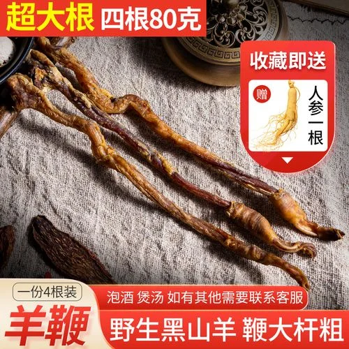 处理干净的鲜羊鞭与枸杞、人参等药材在玻璃瓶中泡酒的细节特写_1
