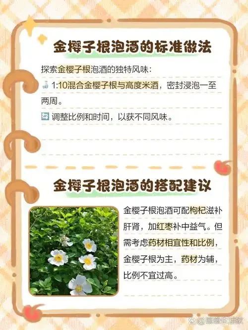金樱子枸杞子泡酒成品展示：透明玻璃罐中金黄色的酒液浸泡着红色枸杞与金黄色金樱子_1
