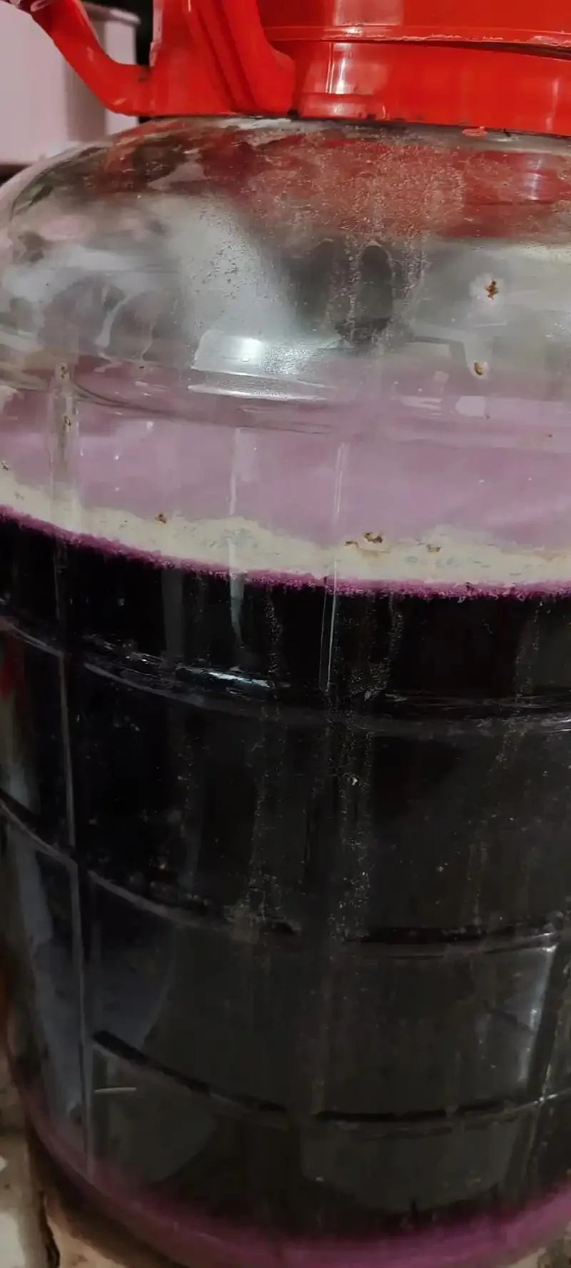 家庭自酿浑浊葡萄酒与专业酿造清澈葡萄酒的对比图，直观展示自酿可能存在的卫生与品质问题_1