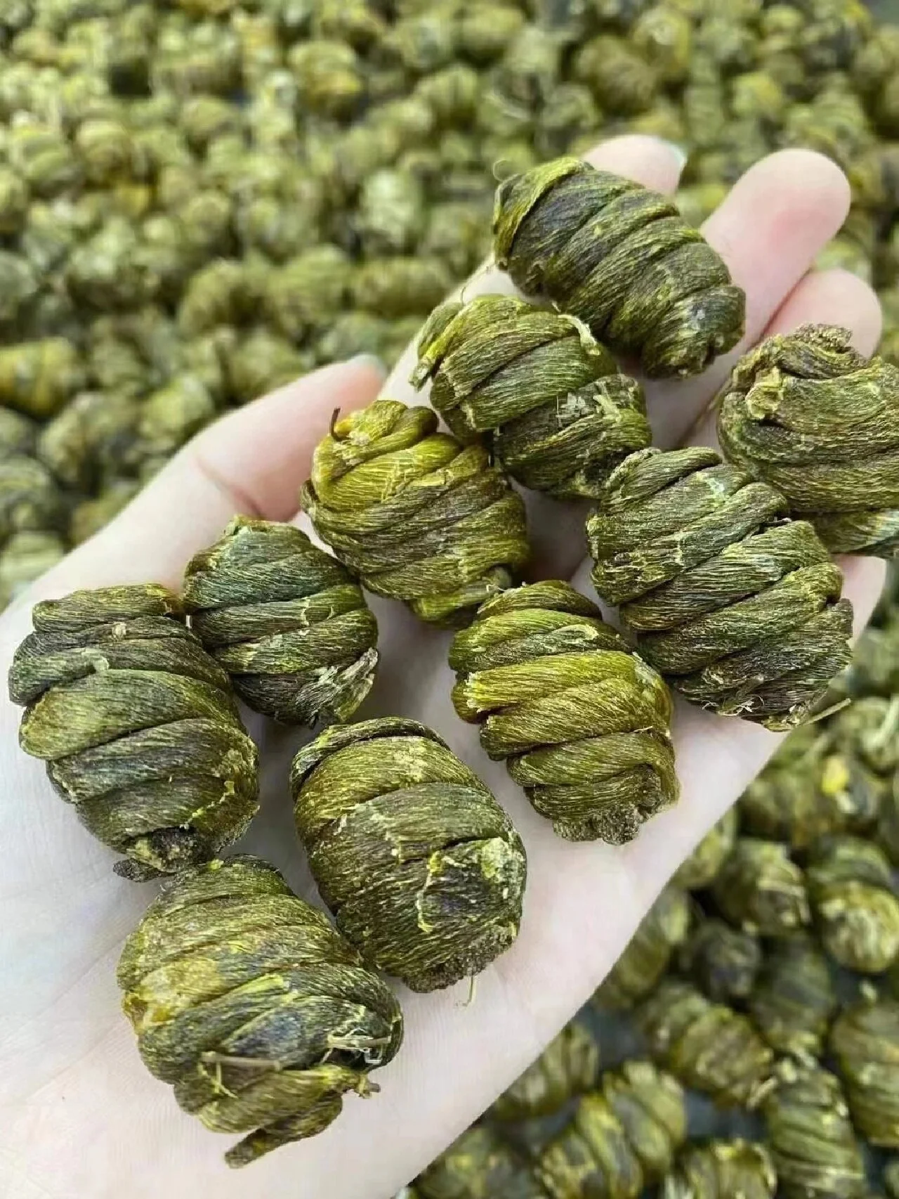 珍虫石斛泡酒过程展示：透明玻璃罐中，珍虫石斛在酒中清晰可见，旁边散落着枸杞红枣等辅料。_1