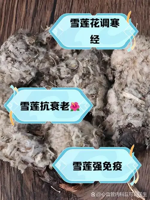 一瓶正在泡制的藏红花雪莲枸杞酒，透明玻璃罐中可见金黄色酒液、红色枸杞、黄色雪莲切片和飘散的藏红花丝，呈现养生药酒的典型状态_1