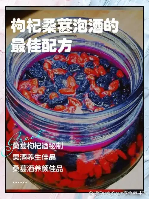 自制桑葚泡酒：广口玻璃罐中浸泡着紫红色桑葚与白酒，旁边放着冰糖和酿酒工具_1