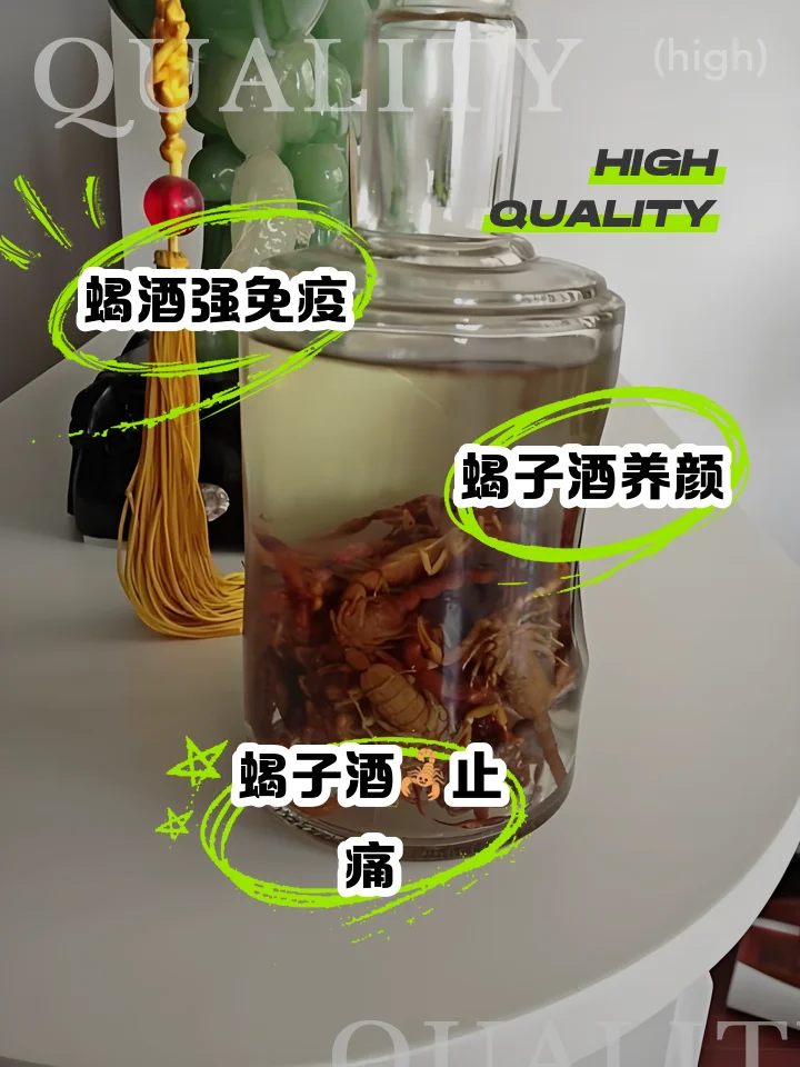 痛风药酒泡制场景：玻璃罐中装着琥珀色药酒和当归、薏苡仁等药材，旁边摆放着茯苓、车前草和纯粮酒瓶。_1