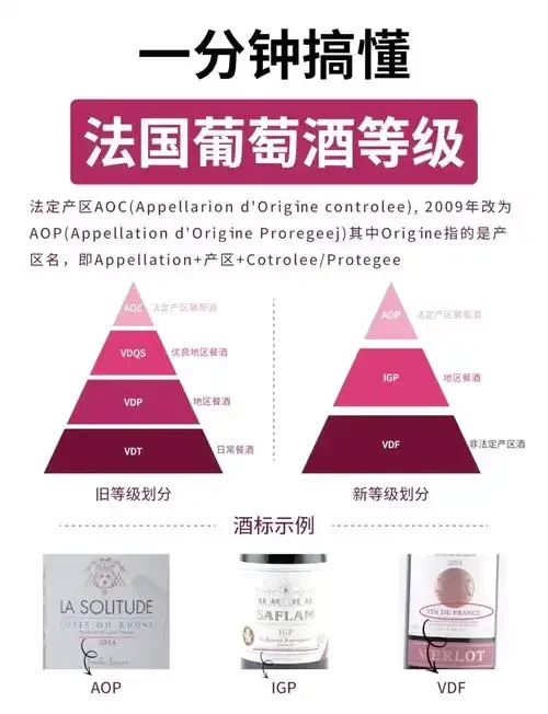 在温馨家庭餐厅环境中，一瓶已开启的红酒与一个正在展示挂杯现象的专业红酒杯，用于示范红酒鉴别的基本观察方法。_1