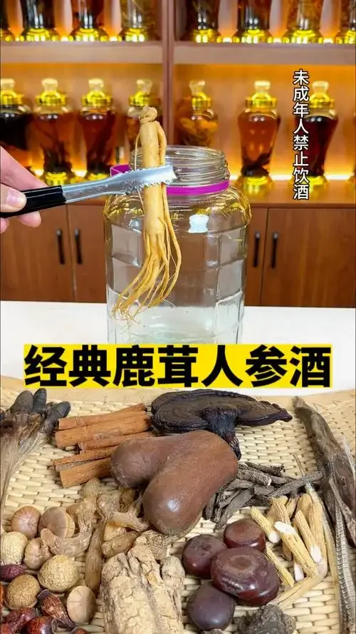 鹿茸人参泡酒成品展示：金黄的酒液中浸泡着鹿茸和人参，旁边放着小酒杯_1