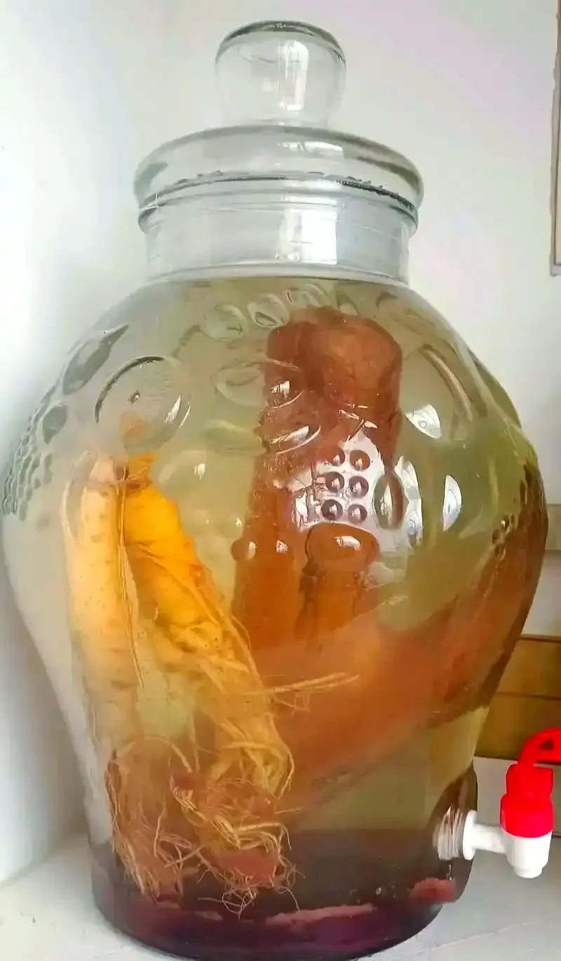 透明玻璃罐中正在浸泡的鲜鹿茸切片特写，展示了正确的泡酒容器和材料状态_1