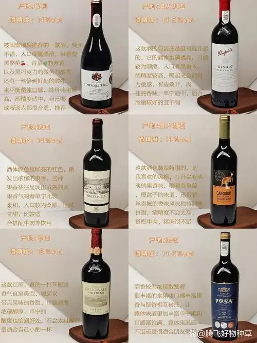 波尔多不同等级红酒对比：大区级、中级庄和列级庄酒款静物展示_1