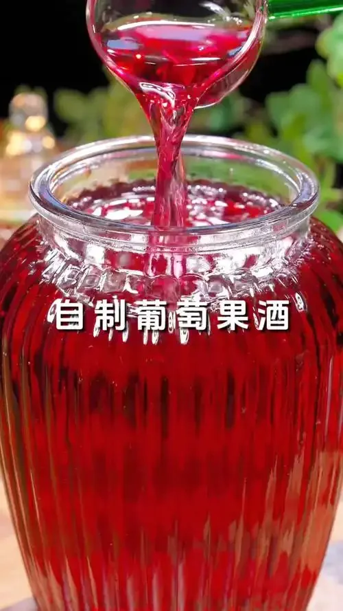 手工处理酿酒葡萄，将新鲜葡萄捏破放入玻璃发酵罐，准备开始自制葡萄酒的发酵过程_1