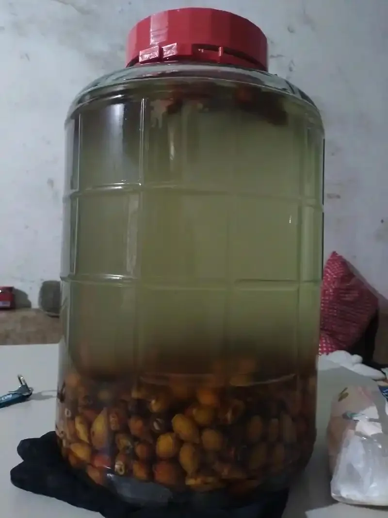 金樱子泡酒成品展示，玻璃罐中可见金樱子、枸杞和红枣浸泡在琥珀色酒液中。_1