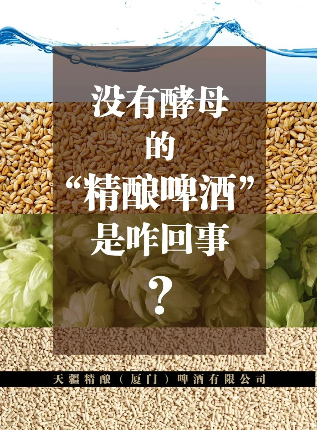 勾兑啤酒与酿造啤酒原料对比图：一边是化学添加剂，一边是天然大麦芽和啤酒花_1