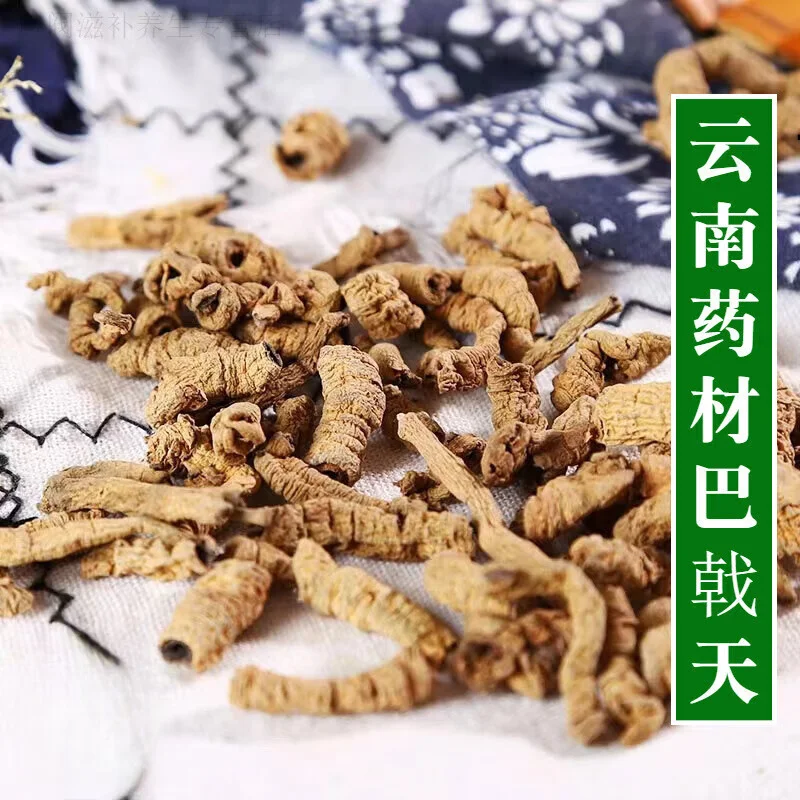 蒸制后的巴戟切片被放入装有纯粮白酒的透明玻璃瓶中，展示泡酒的关键预处理步骤_1