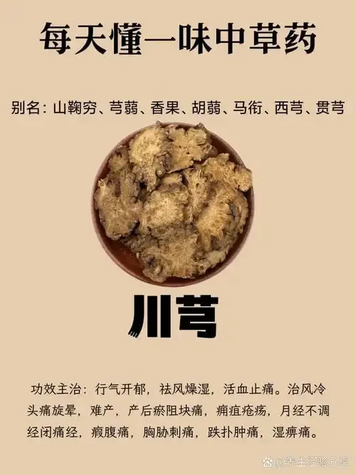 透明玻璃罐中正在浸泡的川芎酒，旁边配有川芎原料和量具，展示家庭酿造川芎酒的真实场景。_1