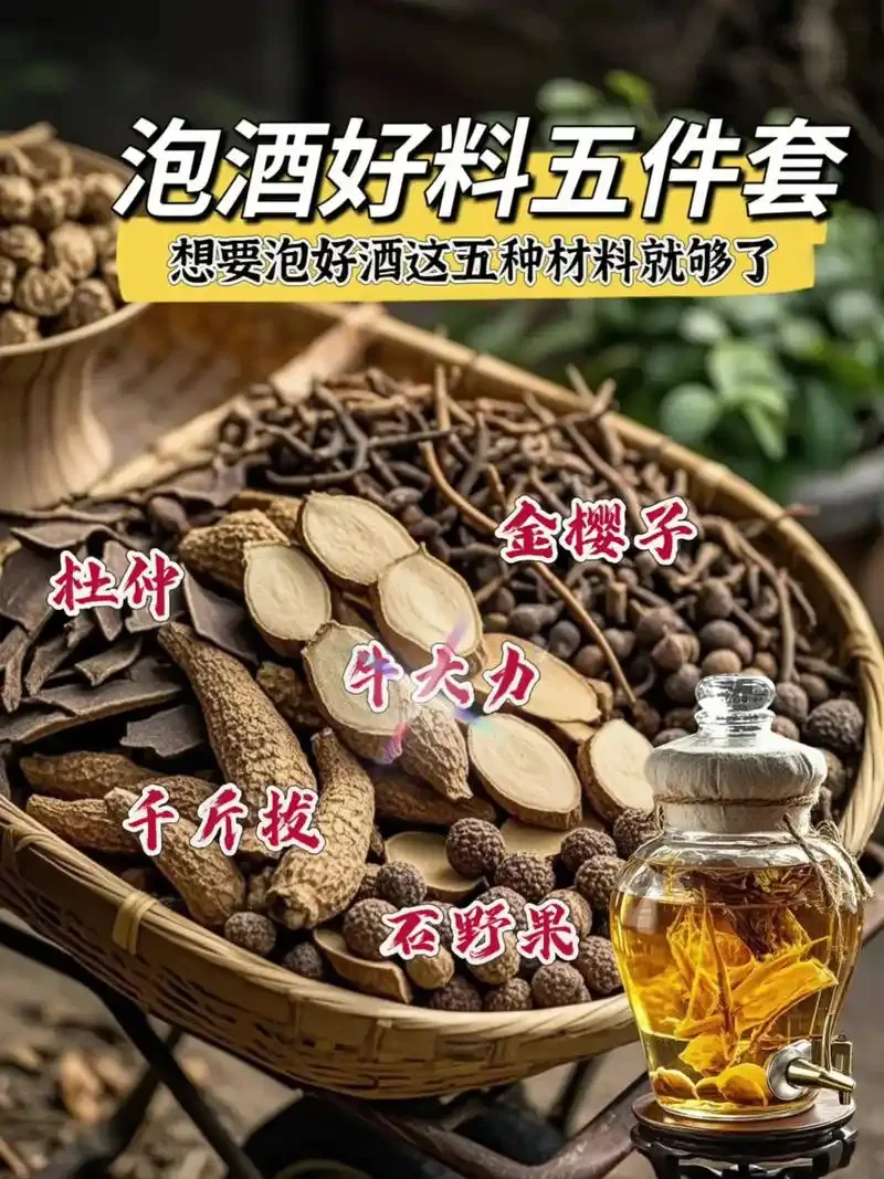 几个透明玻璃罐中浸泡的不同泡酒材料特写，包括水果类和药材类，展示家庭泡酒的多样选择。_1