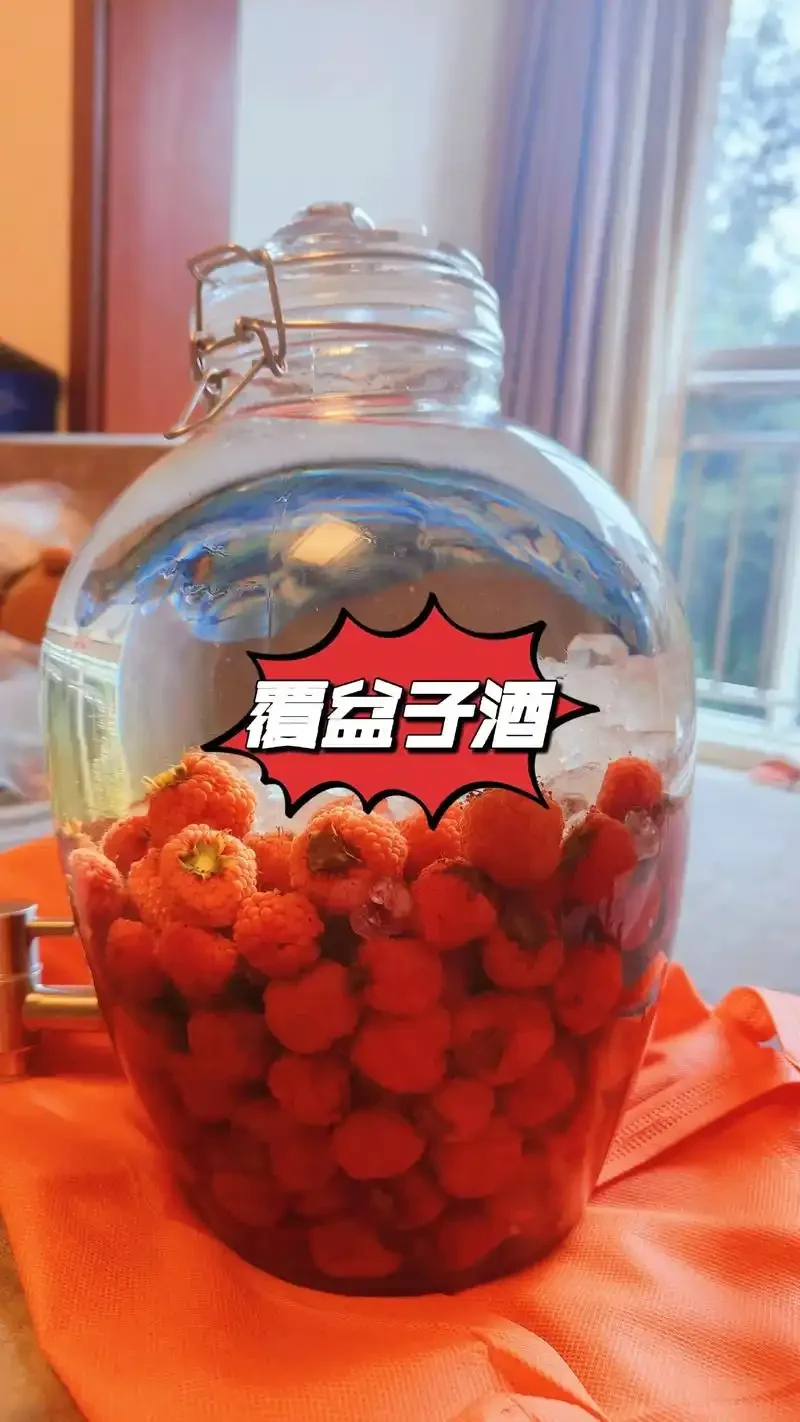 家庭制作覆盆子泡酒过程：新鲜覆盆子、冰糖与白酒在透明玻璃罐中准备混合。_1
