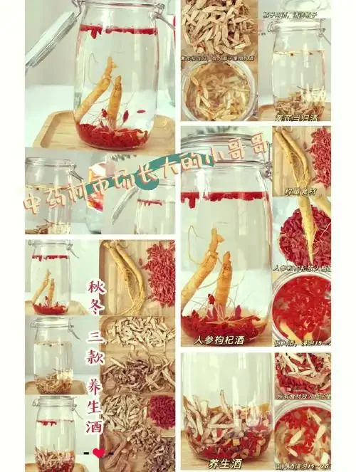 泡酒药材配方大全示例图：装有多种药材（人参、枸杞等）的玻璃瓶与散落的药材_1