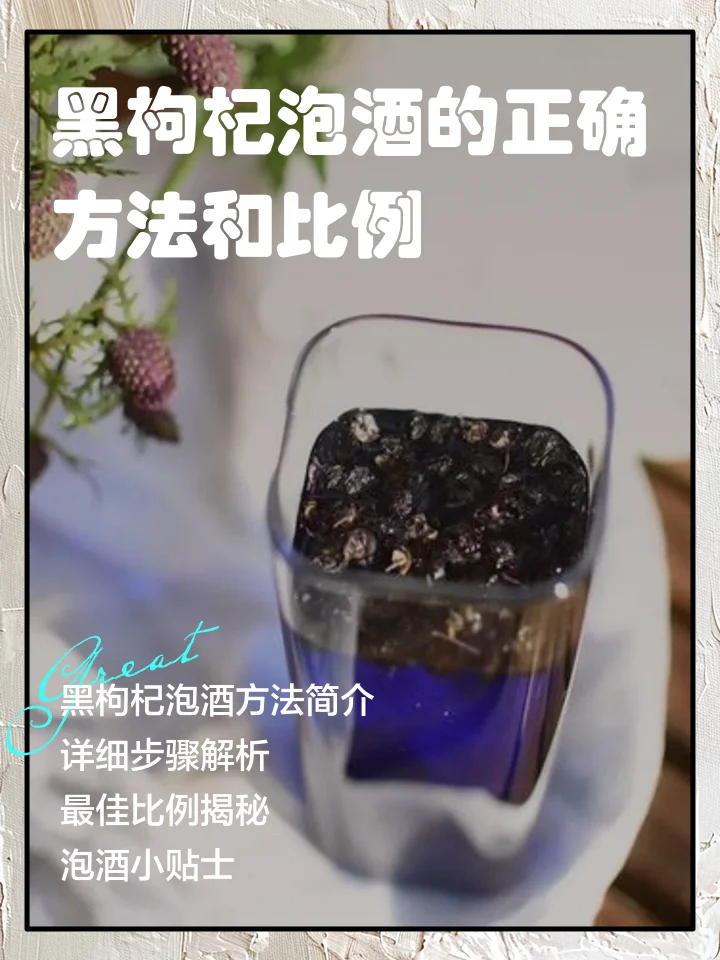 透明玻璃罐中正在浸泡的黑枸杞酒特写，酒液呈紫红色，旁边散落着优质黑枸杞果实和白酒瓶，展示家庭泡酒的温馨场景。_1