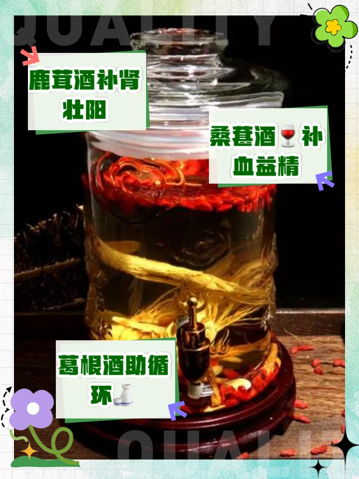 人参枸杞肉苁蓉鹿茸泡酒玻璃罐静物摄影，展示传统壮阳补肾药酒的原料与色泽_1