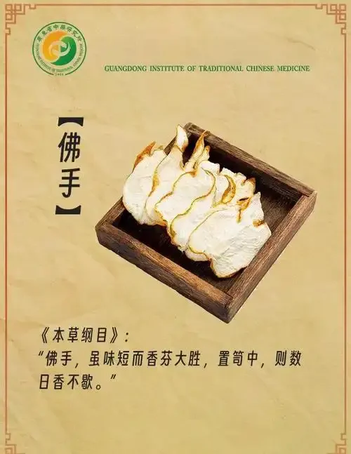 新鲜佛手与佛手干片对比图，旁边是正在浸泡的佛手酒，用于说明泡酒原料的选择。_1