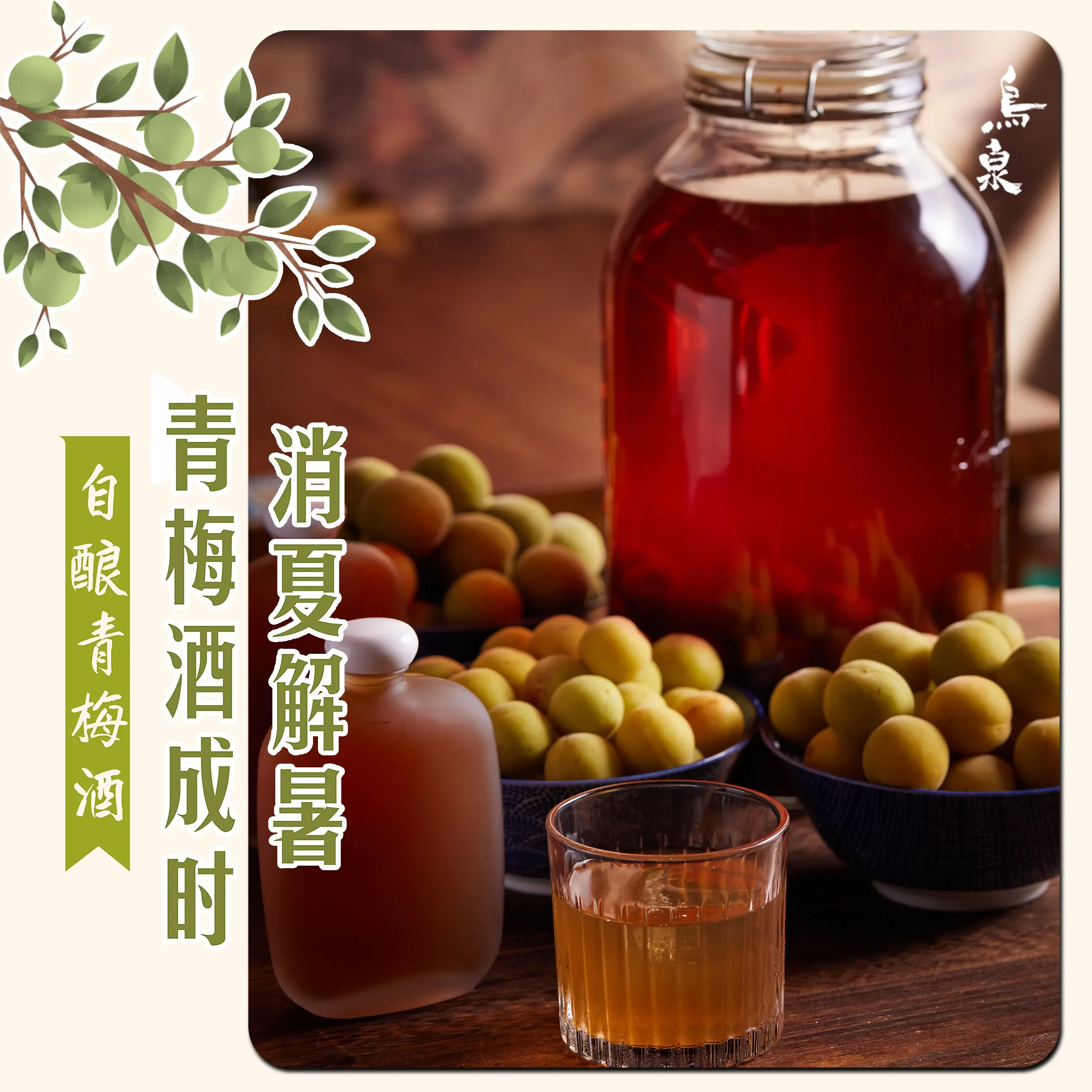 家庭自制青梅泡酒过程展示：新鲜青梅、冰糖与基酒在透明玻璃罐中分层_1