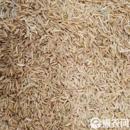 酿酒工作台上摆放着处理好的稻壳和蒸熟的高粱，用于展示酿酒辅料准备过程_1