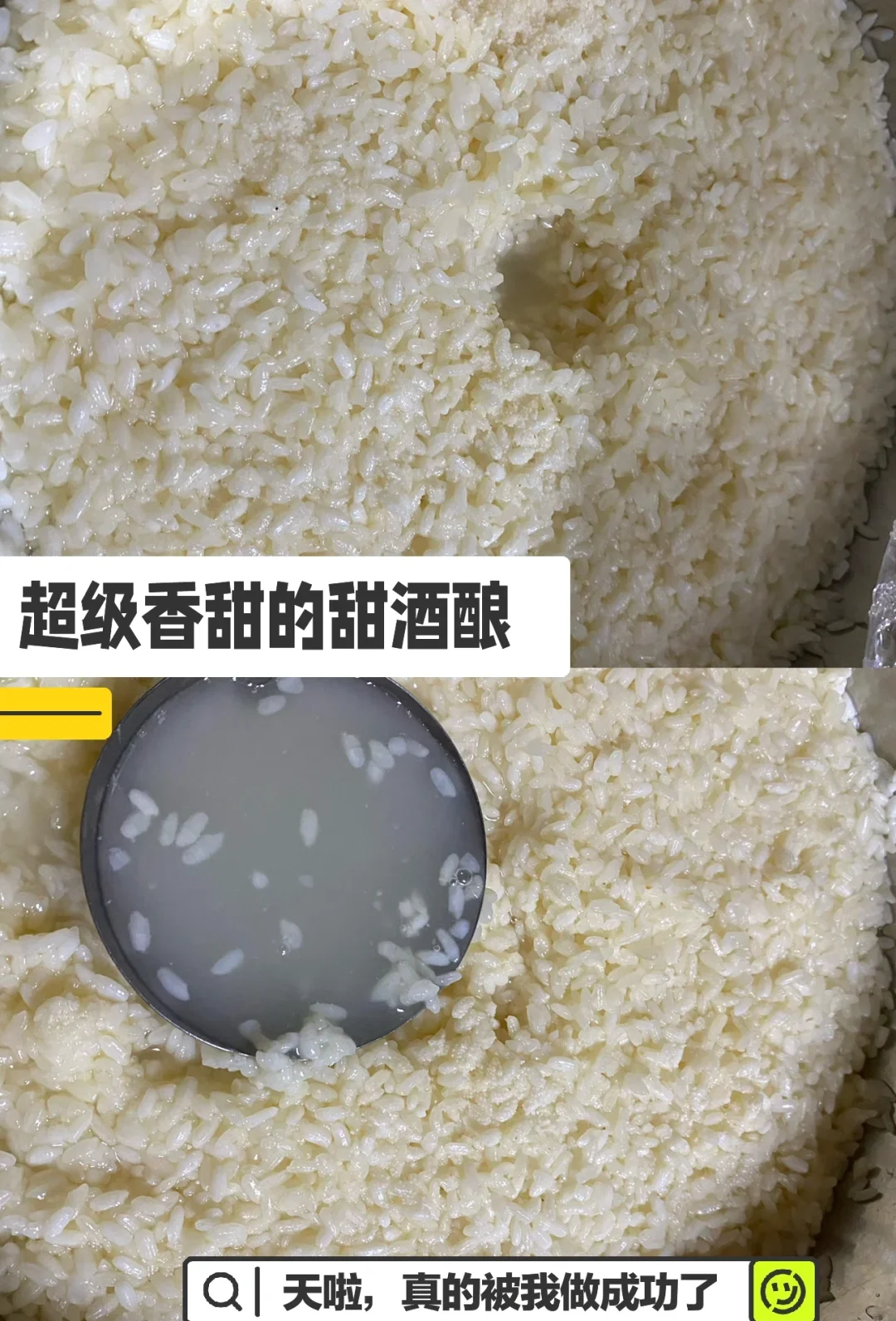 正在发酵中的自制米酒特写，展示糯米饭与清澈酒液的状态。_1