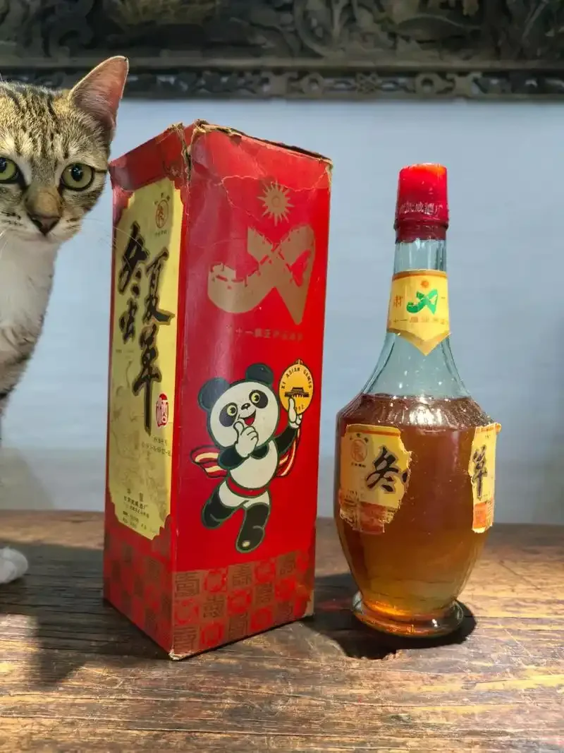 一瓶已泡制完成的42度500ml冬虫夏草酒，虫草清晰可见，背景为酿酒工具_1