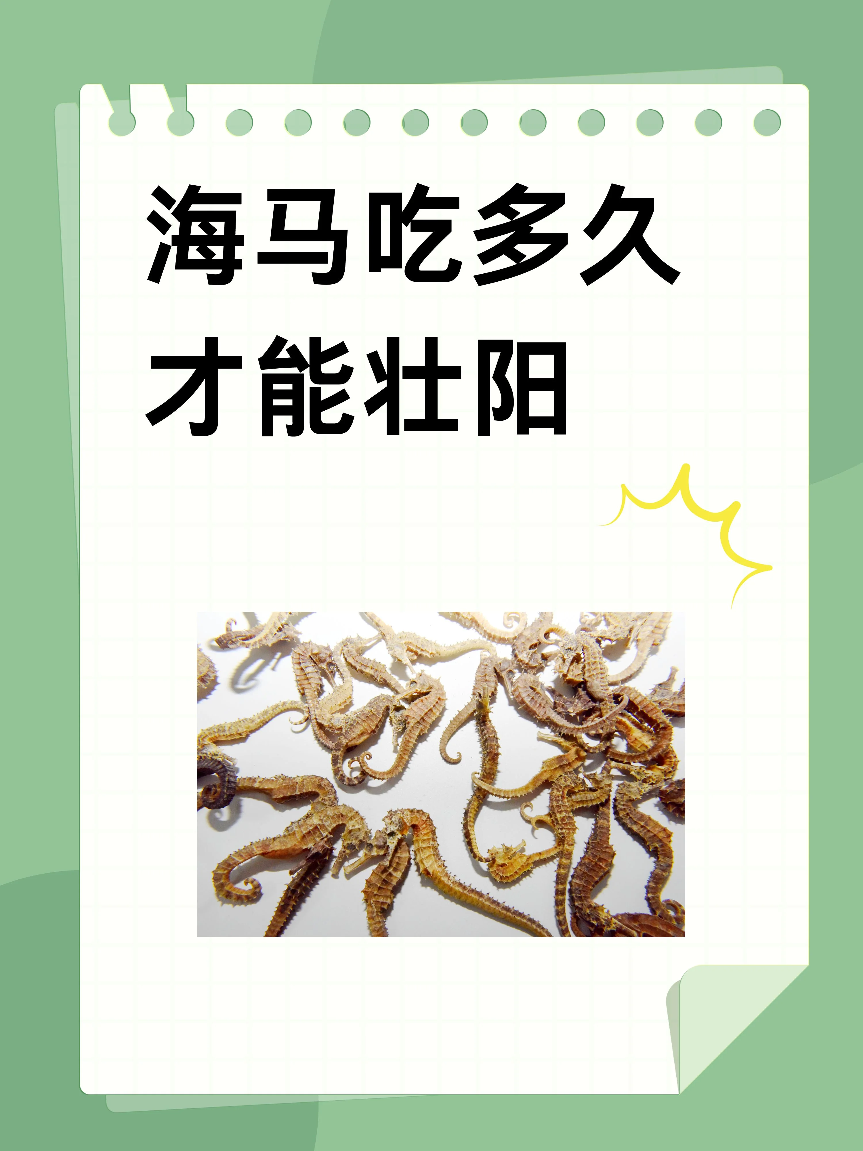 一罐正在泡制的海马补肾酒特写，罐中可见海马、枸杞、肉苁蓉等药材清晰悬浮在琥珀色酒液中。_1