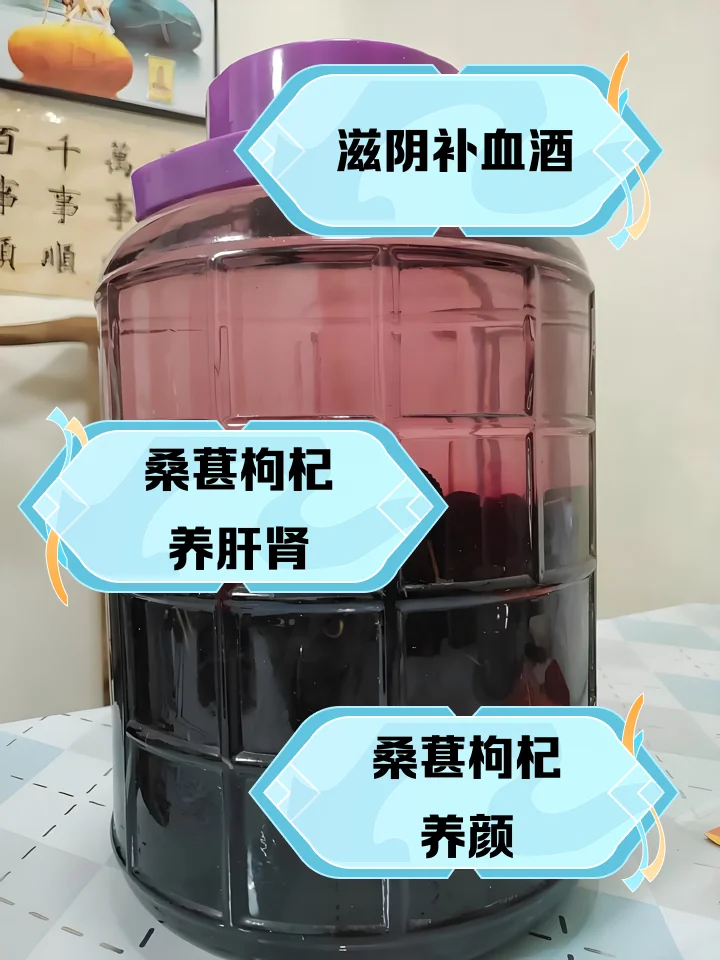 黄芪桑葚泡酒原料准备过程特写，展示黄芪片、桑葚干与玻璃罐_1