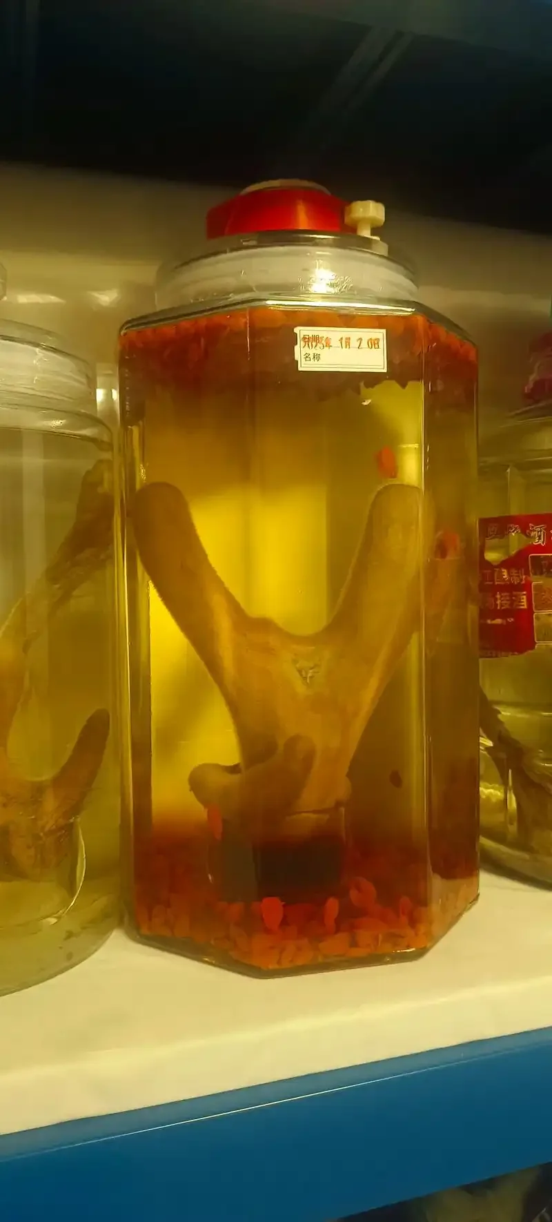 人参、枸杞、灵芝在透明玻璃罐中泡酒的微距特写，展示药材形态与琥珀色酒液。_1