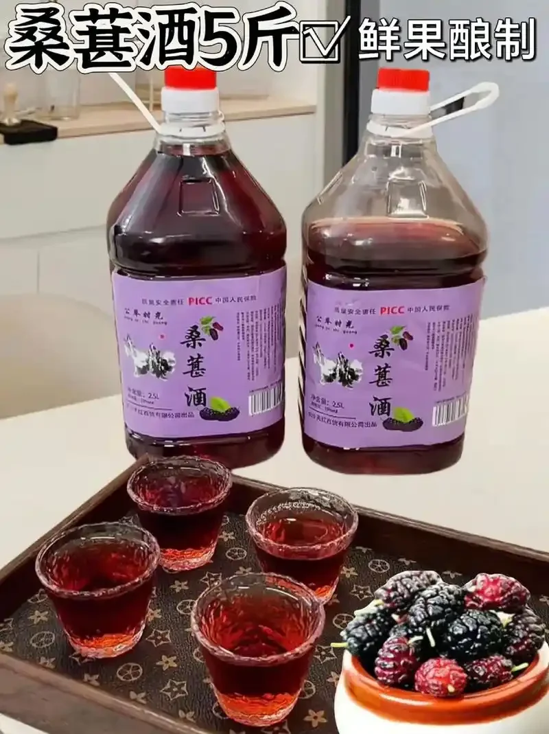 家庭自酿桑葚酒发酵罐特写，新鲜桑葚与冰糖在玻璃罐中准备发酵_1