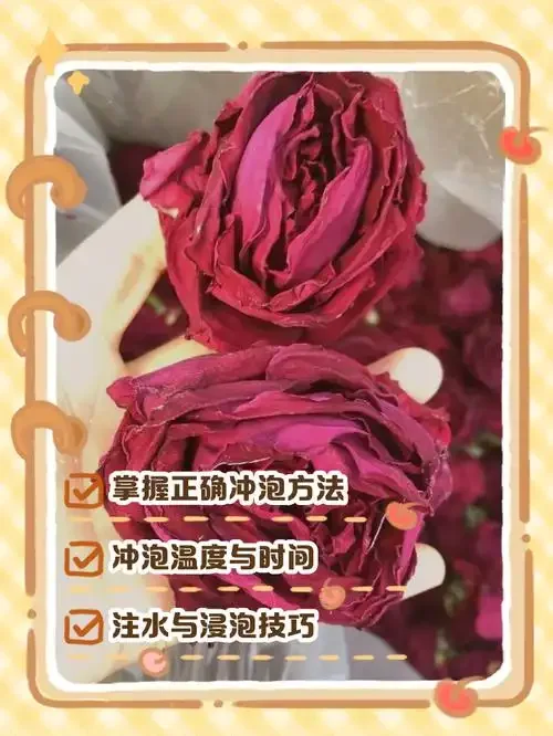 家庭自制玫瑰酒成品展示：透明玻璃罐中粉红色的酒液与悬浮的玫瑰花，以及旁边的原料（鲜花、冰糖和基酒）。_1