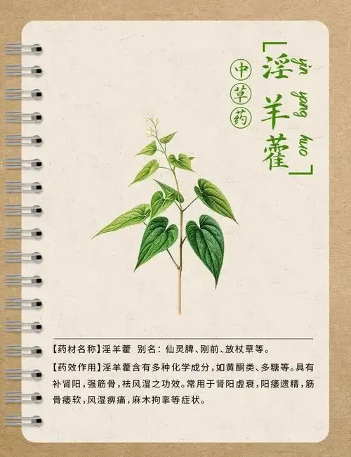 一坛正在泡制中的金黄色淫羊藿药酒，药材清晰可见，摆放在木桌上，展示了家庭泡制药酒的典型场景。_1