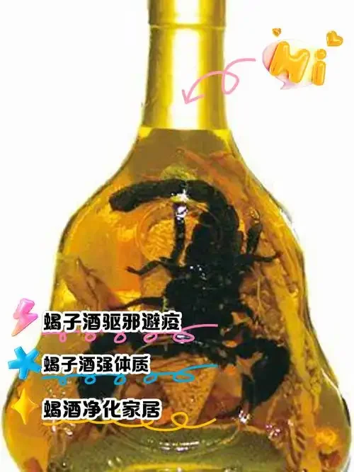 一个装有琥珀色蝎子泡酒的透明玻璃罐特写，罐内可见数只全蝎，旁边放置着未拆封的药用干蝎子和一瓶粮食白酒，整体氛围传统而质朴。_1