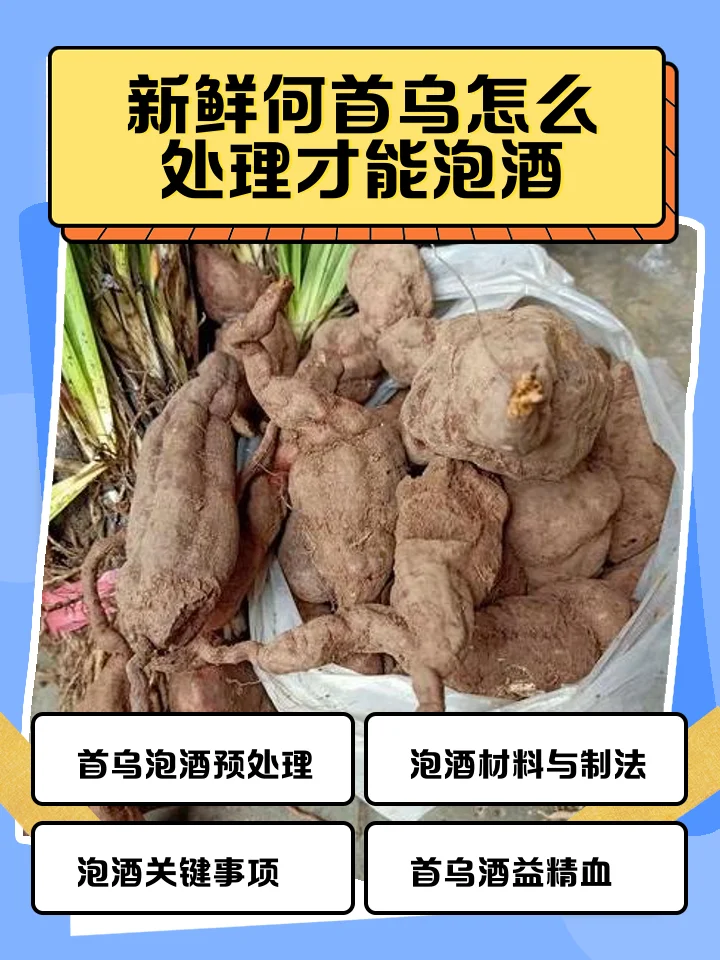 何首乌泡酒成品特写:透明玻璃罐中琥珀色酒液与何首乌切片清晰可见_1