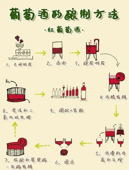 家庭自制浸葡萄酒发酵过程实拍图，透明玻璃罐中葡萄与液体正在自然发酵_1