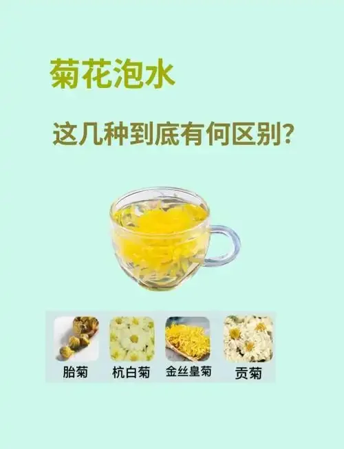 正在浸泡中的菊花酒，展示菊花与酒液的完美融合状态_1